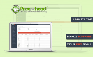 What is a Bookie Business: Getting and Using Pay per Head Services