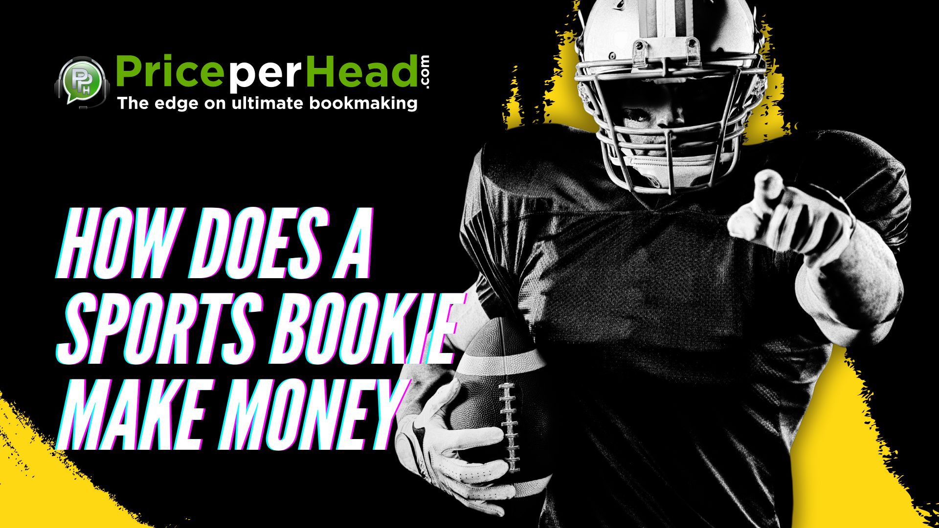 how does a sports bookie make money, pay per head, price per head, bookie