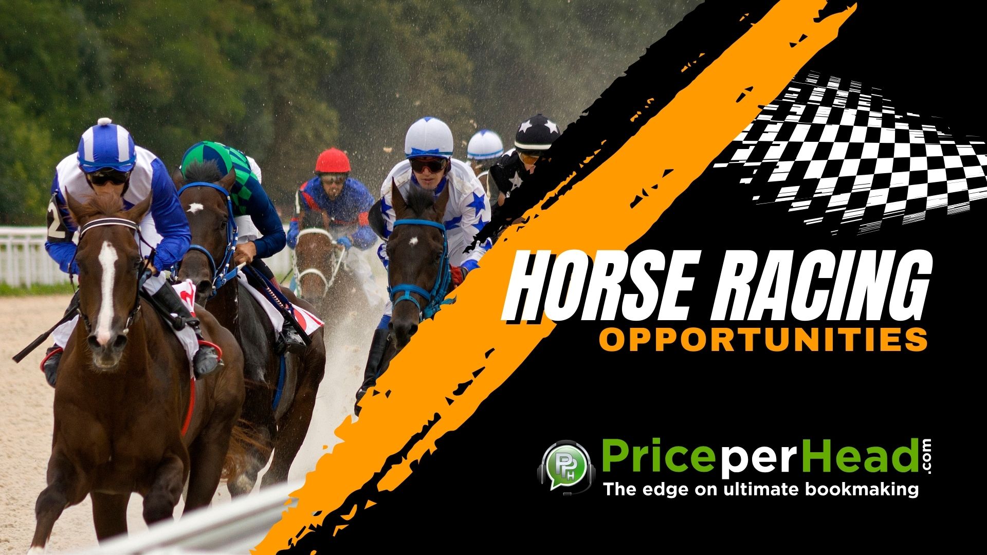 horse racing opportunities, pay per head, price per head