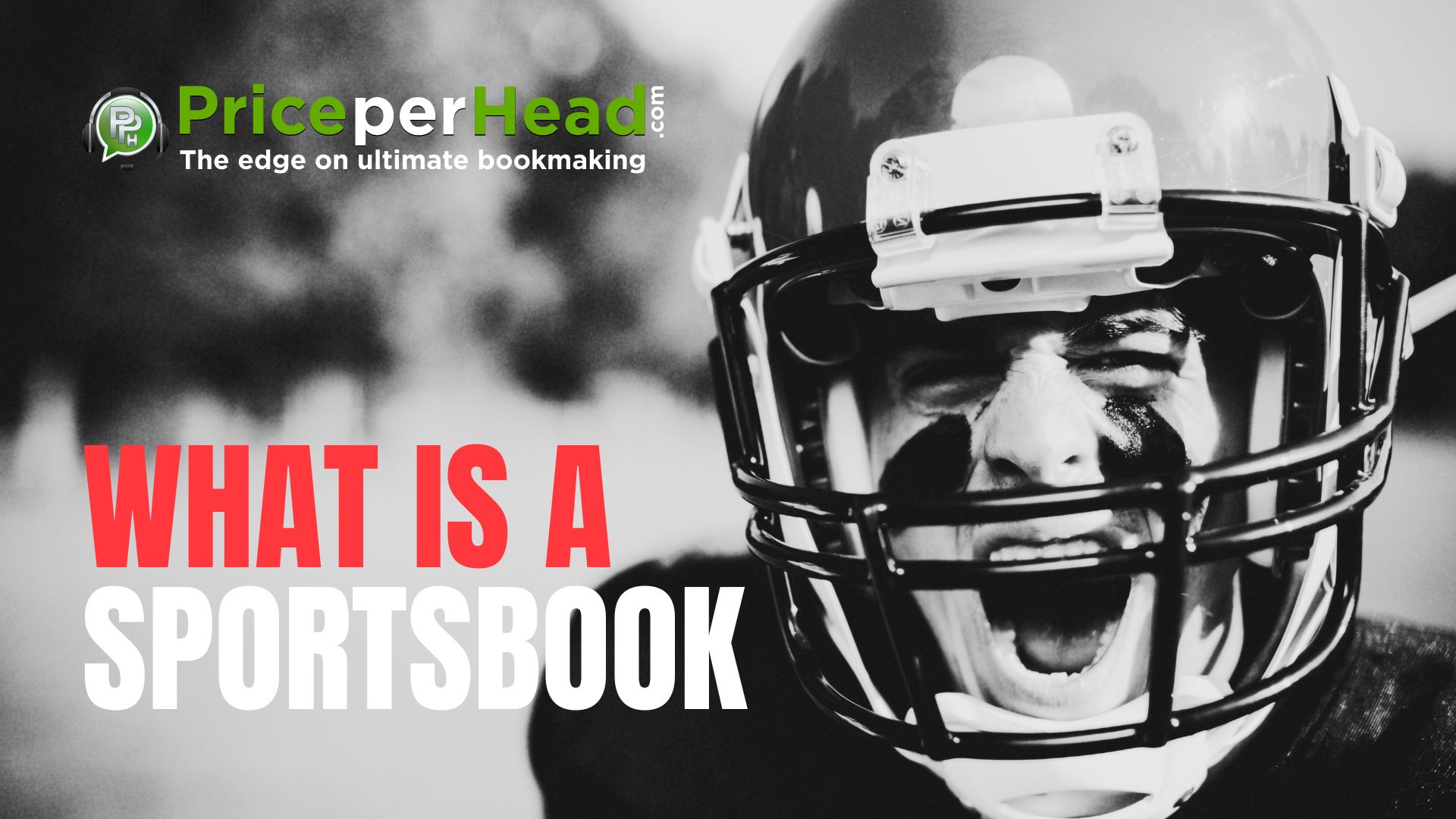 what is a sportsbook, pay per head, price per head